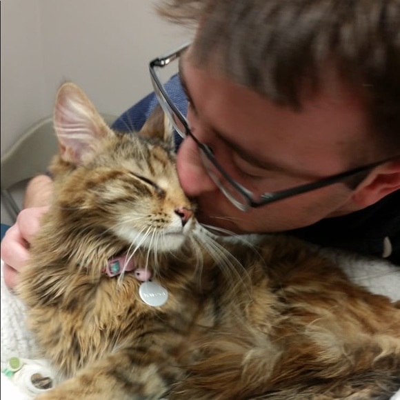 Meet your Posher, Anthony - Picture 3 of 6